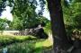 DSC_4675_14_07_2010.jpg