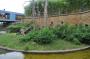 DSC_4710_17_07_2010.jpg