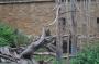 DSC_4711_17_07_2010.jpg