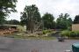 DSC_4743_17_07_2010.jpg