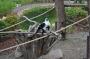 DSC_4769_17_07_2010.jpg