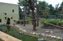 DSC_4773_17_07_2010.jpg