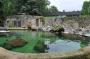 DSC_4777_17_07_2010.jpg