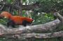 DSC_4893_17_07_2010.jpg