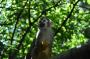 DSC_5031_20_07_2010.jpg