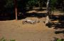 DSC_5062_20_07_2010.jpg