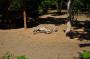 DSC_5063_20_07_2010.jpg
