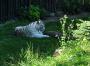DSC_5081k.JPG