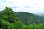 DSC_5236_22_07_2010.jpg