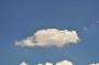 DSC_5422_31_07_2010.jpg