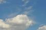 DSC_5475_31_07_2010.jpg