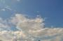 DSC_5495_31_07_2010.jpg