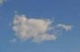 DSC_5498_31_07_2010.jpg