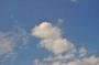 DSC_5500_31_07_2010.jpg