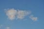 DSC_5502_31_07_2010.jpg