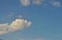 DSC_5504_31_07_2010.jpg