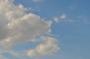 DSC_5505_31_07_2010.jpg