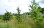 DSC_5650_04_08_2010.jpg