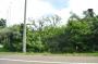 DSC_5656_04_08_2010.jpg