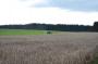 DSC_6083_12_08_2010.jpg