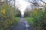 DSC_6582_11_11_2010.jpg