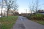 DSC_6585_11_11_2010.jpg