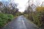 DSC_6588_11_11_2010.jpg