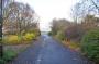 DSC_6589_11_11_2010.jpg