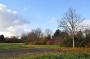 DSC_6590_11_11_2010.jpg