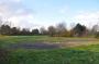 DSC_6591_11_11_2010.jpg