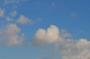 DSC_6627_11_11_2010.jpg