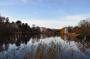 DSC_6701_14_11_2010.jpg
