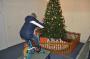 DSC_6840_08_12_2010.jpg