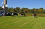 DSC_7539-683.jpg