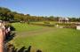 DSC_7885-320.jpg
