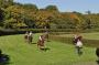 DSC_7907-342.jpg