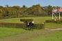 DSC_7955-390.jpg