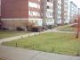 IMAGE0003.JPG_15_11_2003.jpg