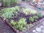 IMAGE0010.JPG.JPG