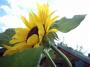 IMAGE0024.JPG.JPG